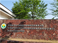 Chinese Academy of Medical Science Hainan Medical Plant 